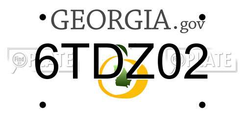 6TDZ02 Georgia License Plate