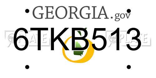 6TKB513 Georgia License Plate