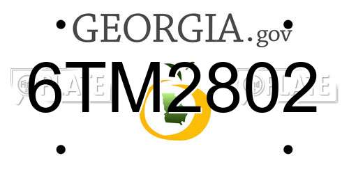 6TM2802 Georgia License Plate