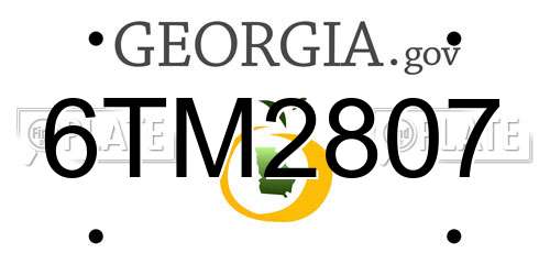 6TM2807 Georgia License Plate