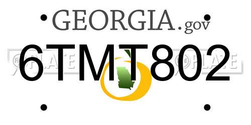 6TMT802 Georgia License Plate
