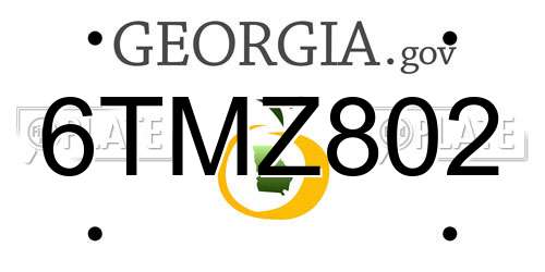 6TMZ802 Georgia License Plate