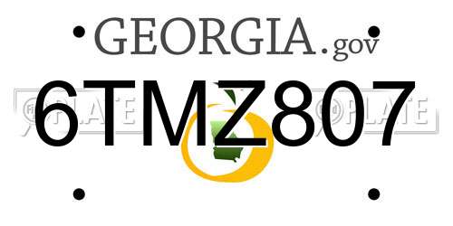 6TMZ807 Georgia License Plate