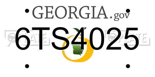 6TS4025 Georgia License Plate