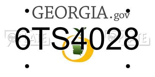 6TS4028 Georgia License Plate