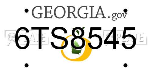 6TS8545 Georgia License Plate