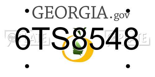 6TS8548 Georgia License Plate