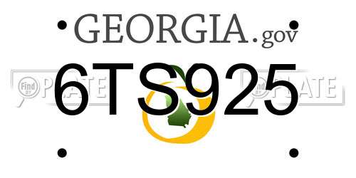 6TS925 Georgia License Plate