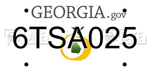6TSA025 Georgia License Plate