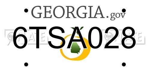 6TSA028 Georgia License Plate