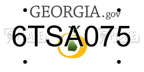 6TSA075 Georgia License Plate