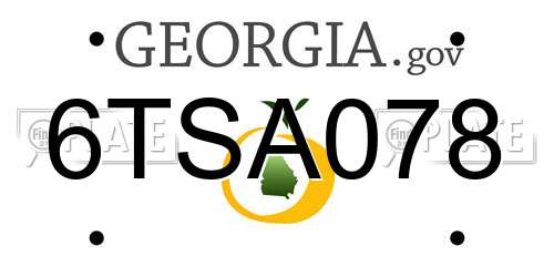 6TSA078 Georgia License Plate