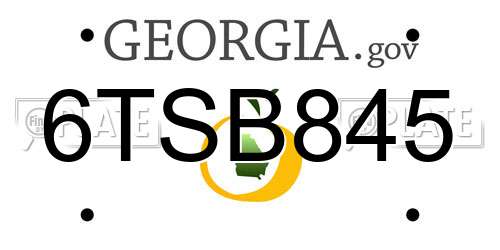 6TSB845 Georgia License Plate