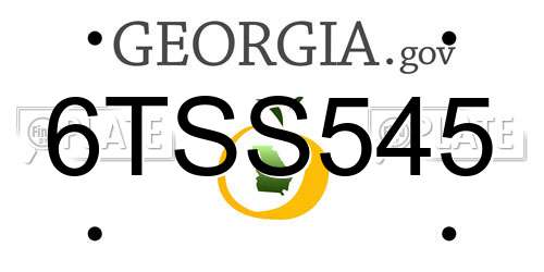 6TSS545 Georgia License Plate