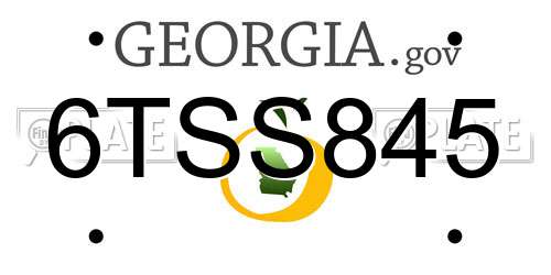 6TSS845 Georgia License Plate