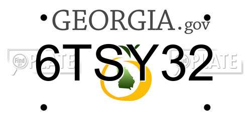 6TSY32 Georgia License Plate