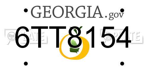 6TT8154 Georgia License Plate