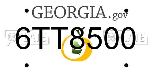 6TT8500 Georgia License Plate
