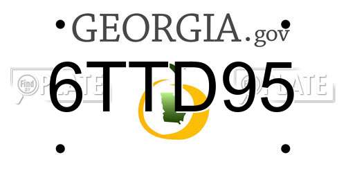 6TTD95 Georgia License Plate