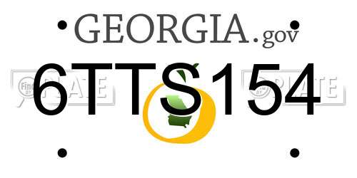 6TTS154 Georgia License Plate