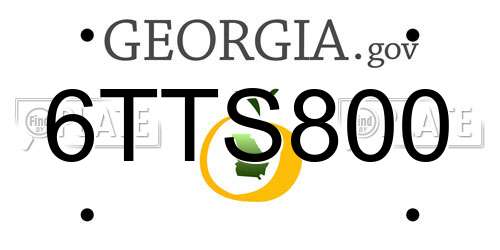 6TTS800 Georgia License Plate