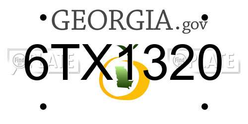 6TX1320 Georgia License Plate