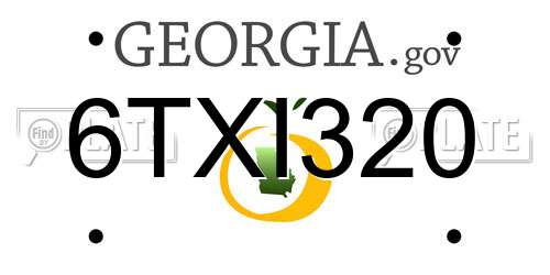 6TXI320 Georgia License Plate