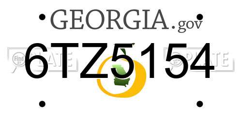 6TZ5154 Georgia License Plate