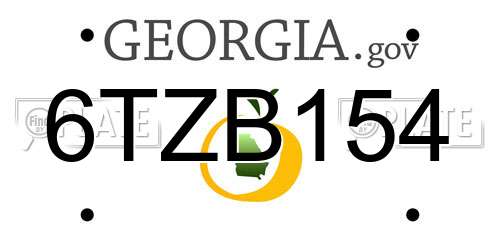 6TZB154 Georgia License Plate