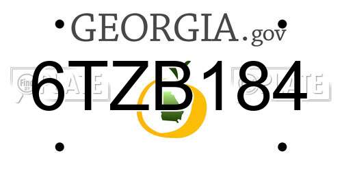 6TZB184 Georgia License Plate