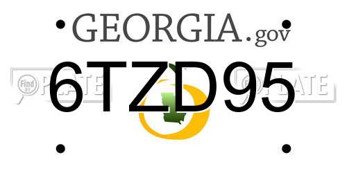 6TZD95 Georgia License Plate