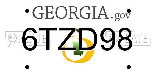6TZD98 Georgia License Plate