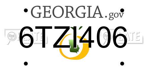6TZI406 Georgia License Plate