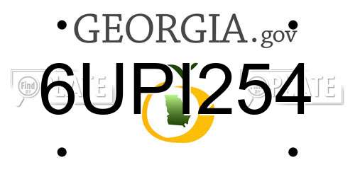 6UPI254 Georgia License Plate
