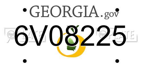 6V08225 Georgia License Plate