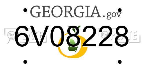 6V08228 Georgia License Plate