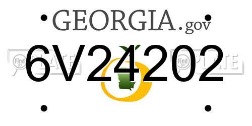 6V24202 Georgia License Plate