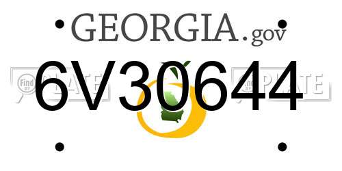6V30644 Georgia License Plate