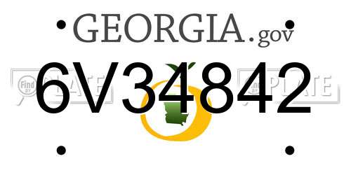 6V34842 Georgia License Plate