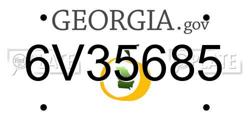 6V35685 Georgia License Plate