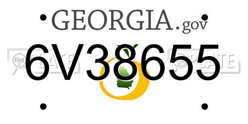 6V38655 Georgia License Plate