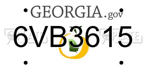 6VB3615 Georgia License Plate