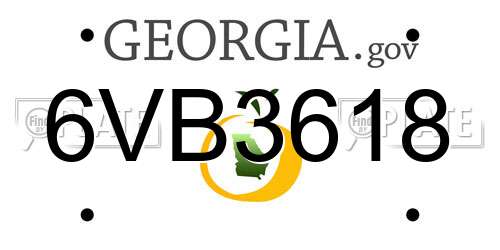 6VB3618 Georgia License Plate