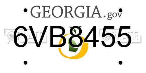 6VB8455 Georgia License Plate