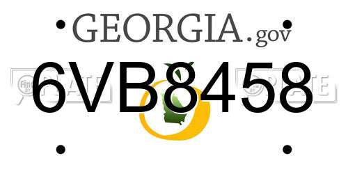 6VB8458 Georgia License Plate