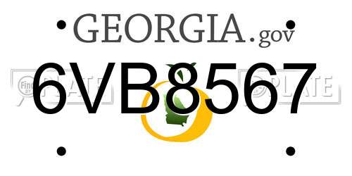 6VB8567 Georgia License Plate