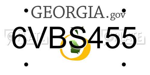 6VBS455 Georgia License Plate