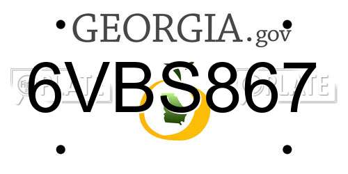 6VBS867 Georgia License Plate