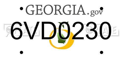 6VD0230 Georgia License Plate