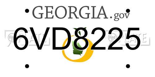 6VD8225 Georgia License Plate